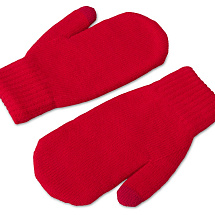 Варежки Dunant, красный