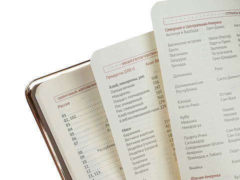 Ежедневник А5 недатированный Chelsea, красный (золотистый кант и срез) (Р) - рис 3.