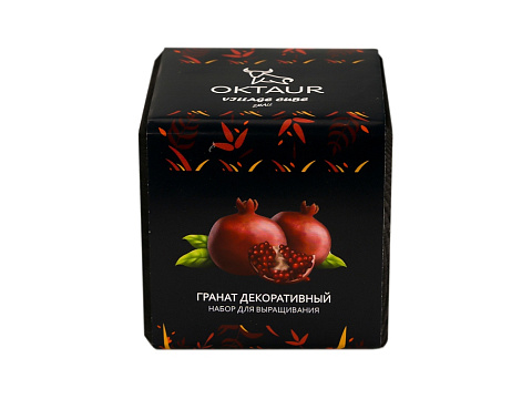 Набор для выращивания Small village cube Гранат комнатный - рис 2.