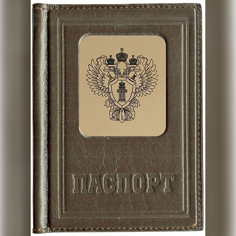 Обложка для паспорта «Строгий порядок», коричневый