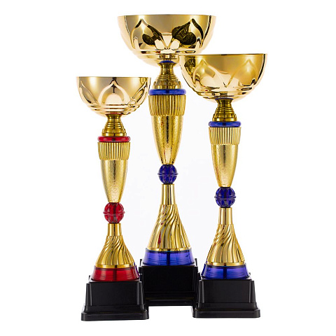 Кубок Awardee, большой, синий - рис 5.