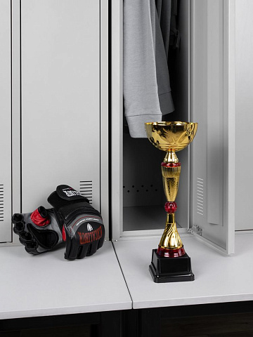 Кубок Awardee, средний, красный - рис 6.