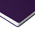 Ежедневник Flexpen Bright, недатированный, фиолетовый - миниатюра - рис 6.