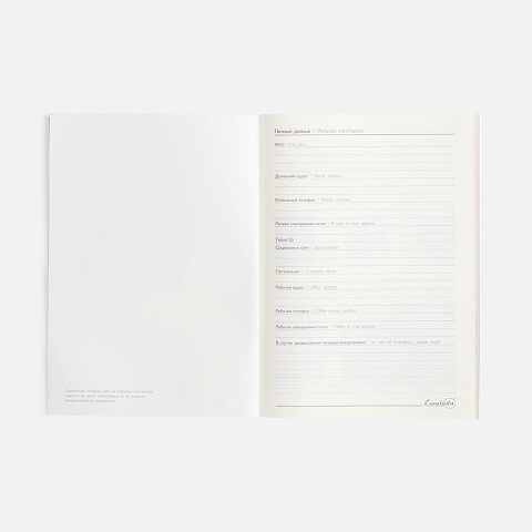 Ежедневник Repute, недатированный, синий - рис 11.