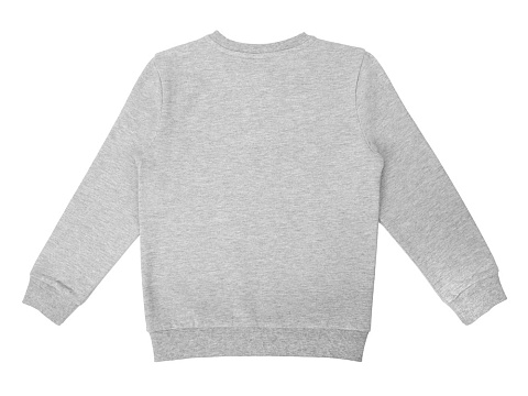 Свитшот Motion детская_12, серый меланж - рис 5.