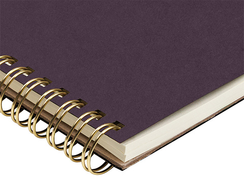 Бизнес тетрадь на гребне А5 Pragmatic, 60 листов в клетку, фиолетовый - рис 3.