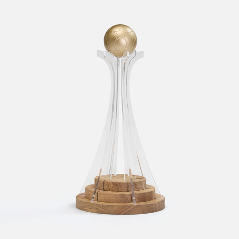 Кубок Everball c 3D-элементами - рис 2.