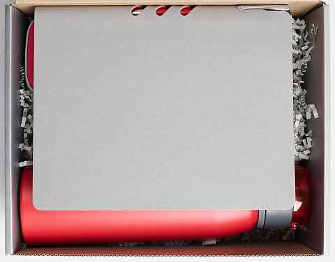 Набор Flexpen Flow, серый с красным - рис 3.