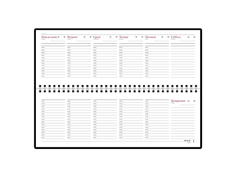 Планинг недатированный Sidney Nebraska, коричневый (Р) - рис 2.