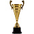 Кубок Recordsman, золотистый - миниатюра