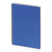 Бизнес тетрадь на гребне А4 Pragmatic, 100 листов в клетку, синий