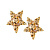Серьги GEMINI SG GOLDEN Dyrberg Kern 450004 - миниатюра