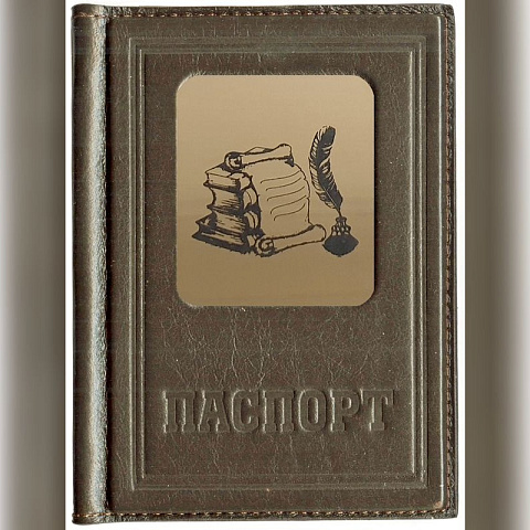 Обложка для паспорта «Линия вдохновения», коричневый