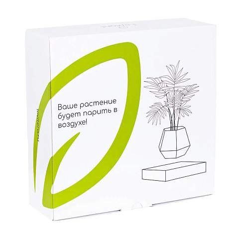Левитирующее растение Кофе арабика (венге) - рис 4.