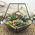 Сад в стекле “Зов джунглей" - миниатюра